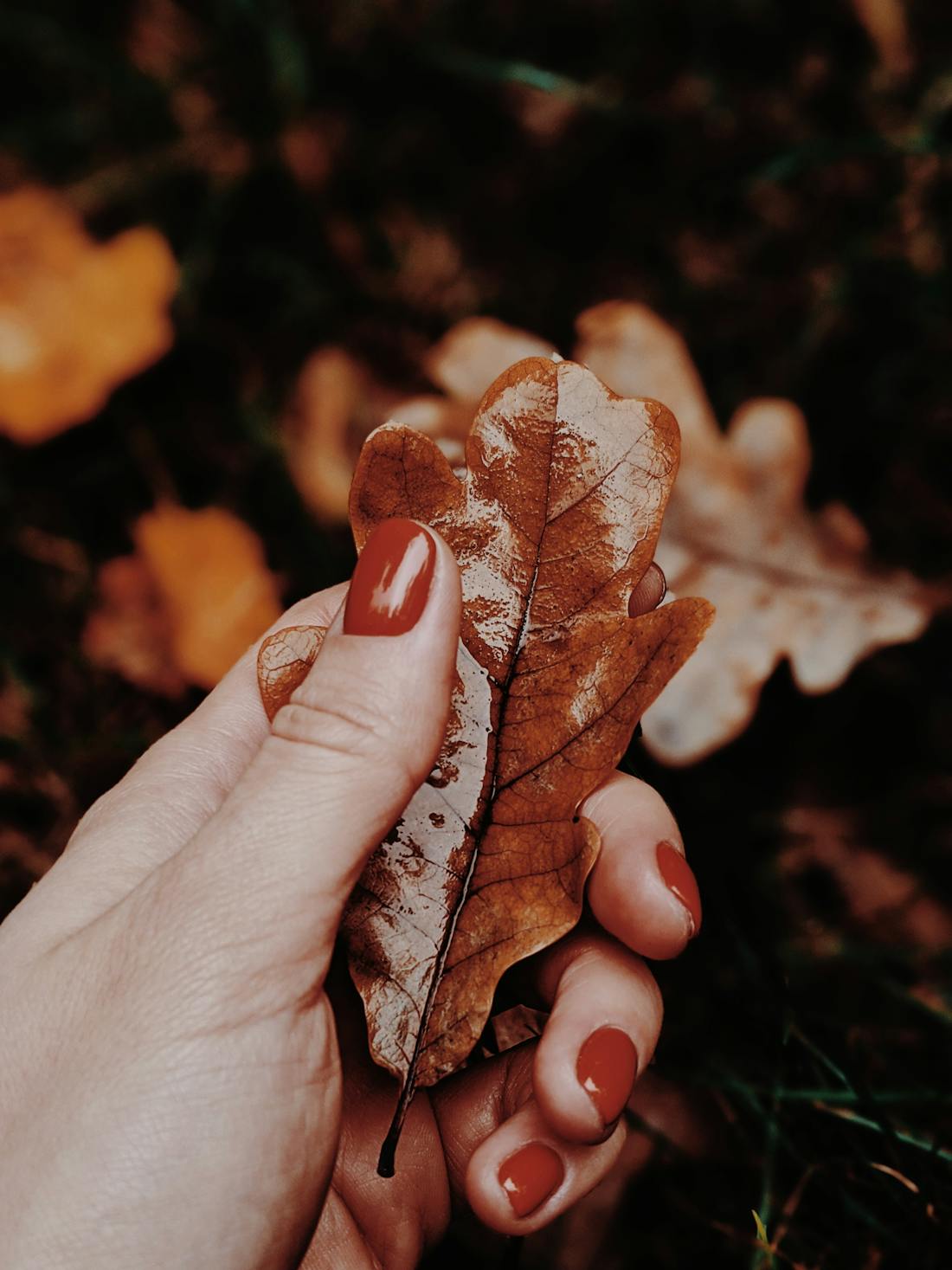Manucure vernis terracotta automne You Rêve Paris — teinte Fashion Week SS27 équinoxe Paris 1er