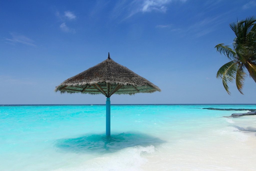 Plage parasol palmiers eau turquoise — vacances été 2026